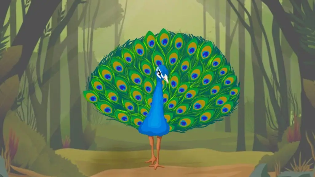 Children Moral Story about Peacock